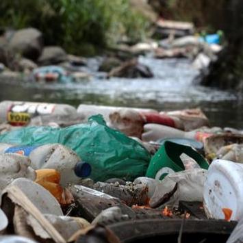 ¿Estas dispuesto a vivir #21DíasMásNaturales? - Estado Natural