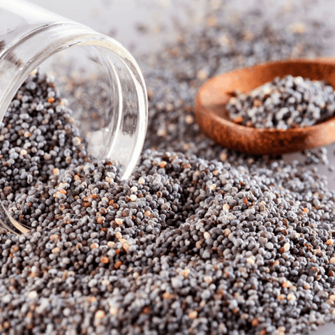 Integra la magia de la naturaleza a tu piel: 3 semillas que puedes usar para lograrlo - Estado Natural