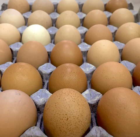 Algunas razones para cambiar a huevo de libre pastoreo - Estado Natural