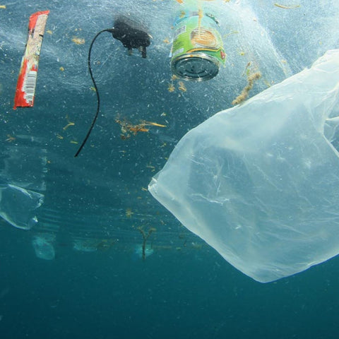 ECOTIP: Reduce el uso de plástico 7. - Estado Natural